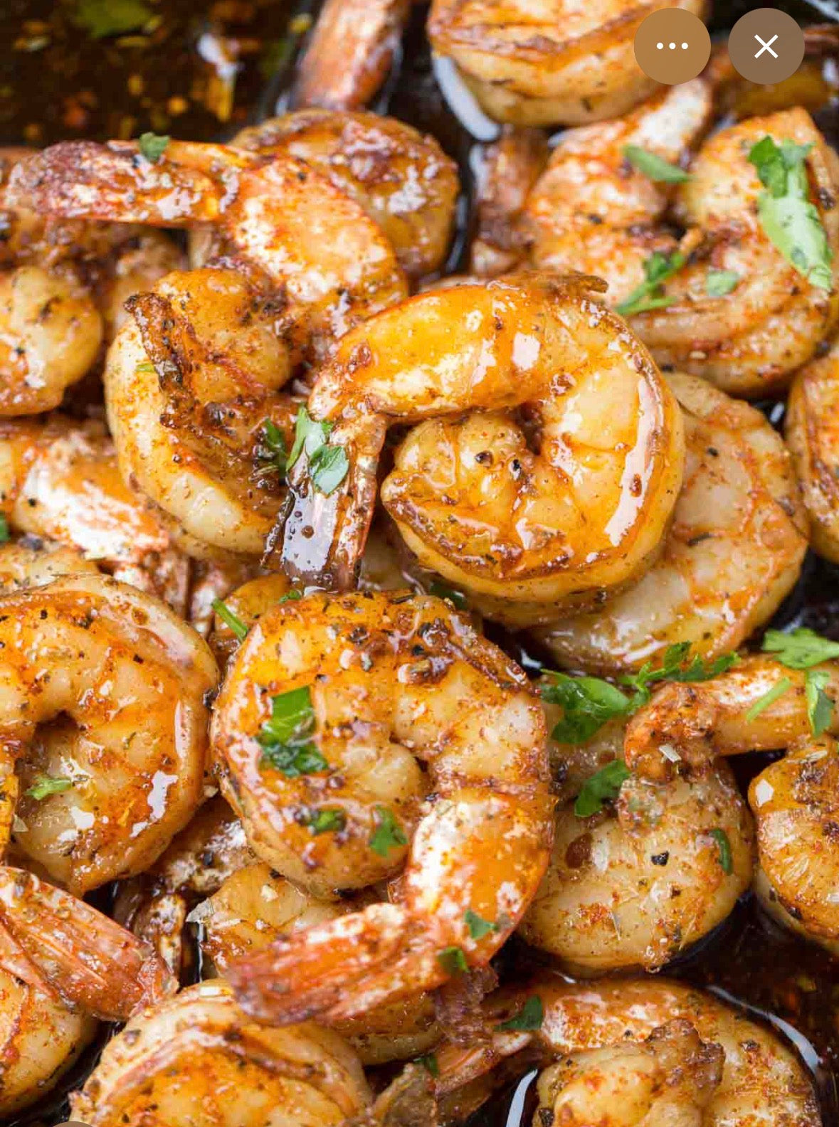 Shrimps